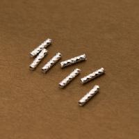 925 Sterling Silber Straight Tube, poliert, DIY, Platin Farbe, 2x10mm, Bohrung:ca. 1.2mm, verkauft von PC