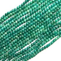 Perline Amazzonite, Cerchio, lucido, DIY, beads length 4.5-5mm, Venduto per Appross. 38 cm filo