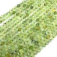 Gemstone šperky Korálky, Prehnite, lesklý, DIY & tváří, 8mm, 47PC/Strand, Prodáno za Cca 38 cm Strand