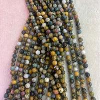 Gemstone Jewelry Beads Marine Fossil Round DIY mixed colors Sold Per Approx 38 cm Strand