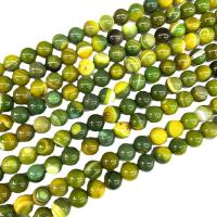 Natural Lace Agate Beads Round polished DIY green Sold Per Approx 38 cm Strand