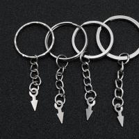 Zinc Alloy Key Clasp portable & DIY nickel lead & cadmium free Sold By PC