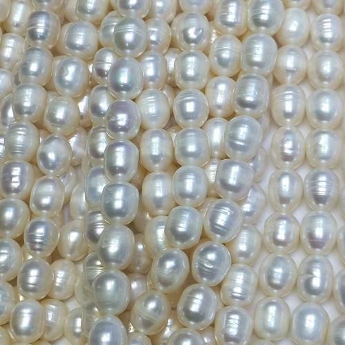 Ris odlad sötvattenspärla pärlor, Freshwater Pearl, DIY, vit, 9-10mm, Såld Per Ca 37 cm Strand