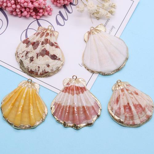 Shell Pendler, med Messing, guldfarve belagt, mode smykker & du kan DIY, blandede farver, Length about 32x36mm,Hight about 37x42mm, 5pc'er/Bag, Solgt af Bag