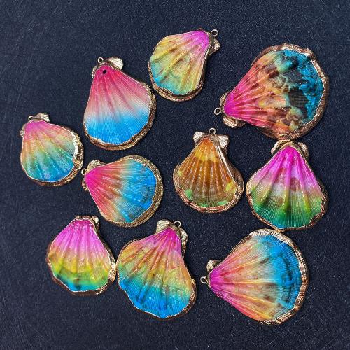 Pendentifs coquillage, coquille, avec laiton, coquille, Placage de couleur d'or, dégradé de couleur & DIY, multicolore, Length about 30x37mm,Hight about 42x48mm, Vendu par PC