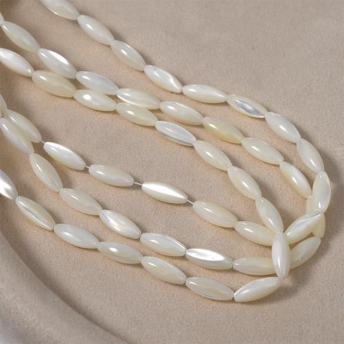 Natural Freshwater Shell Beads Trochus DIY Sold By Bag