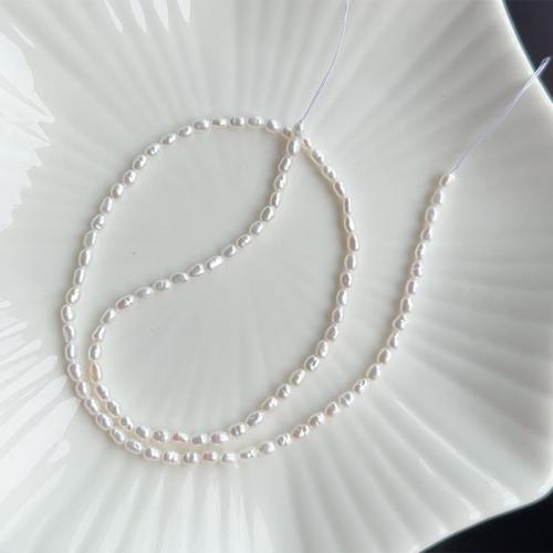 Barock odlad sötvattenspärla pärlor, Freshwater Pearl, DIY, vit, 2-3mm, Såld Per Ca 37 cm Strand