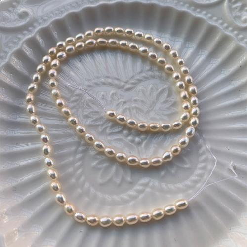 Prirodni slatkovodni biser labav nakit, Slatkovodni Pearl, možete DIY, bijel, Diameter:3-3.5mm, Približno 88računala/Strand, Prodano Per Približno 38 cm Strand