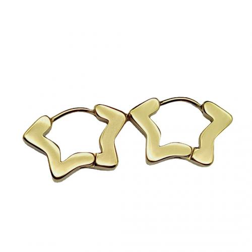 Stainless Steel Lever Back Earring 304 Stainless Steel Vacuum Ion Plating Unisex Sold By PC