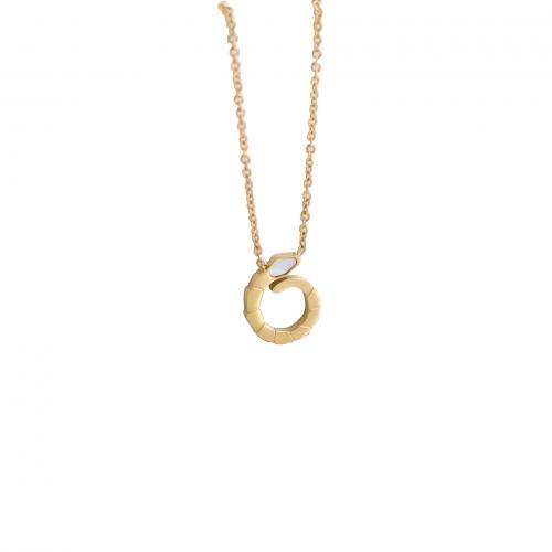 Colar de aço titânio, Partículas de aço, with concha branca, with 6CM extender chain, para mulher, dourado, comprimento Aprox 45 cm, vendido por PC