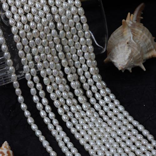 Rice Kulturan Slatkovodni Pearl perle, Riža, možete DIY, bijel, 4mm, Prodano Per Približno 37 cm Strand