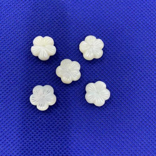 Witte Lip Shell Beads, White Lip Shell, Bloem, DIY, wit, 12mm, Verkocht door PC