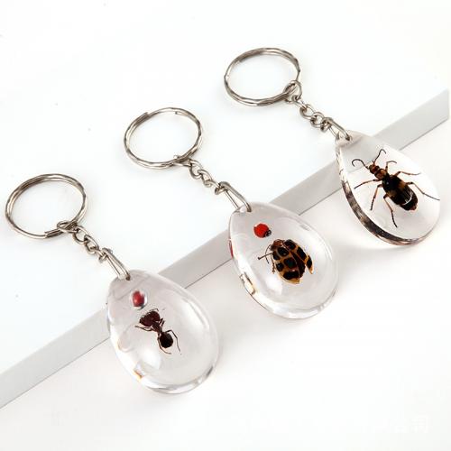 Resin Key Clasp Teardrop random style & transparent Sold By PC