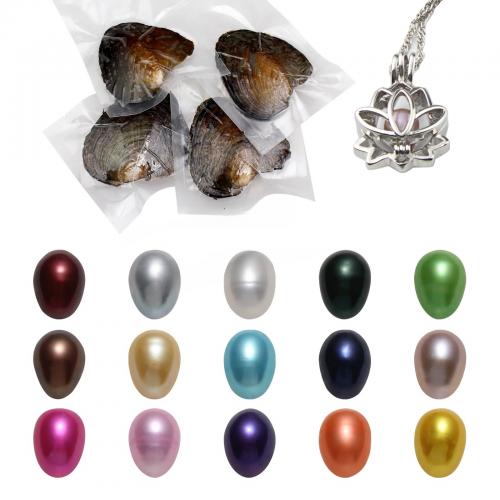 Oyster & Wish Pearl Kit, Natürliche kultivierte Süßwasserperlen, Reis, gemischte Farben, 7-8mm, ca. 50PCs/Menge, verkauft von Menge