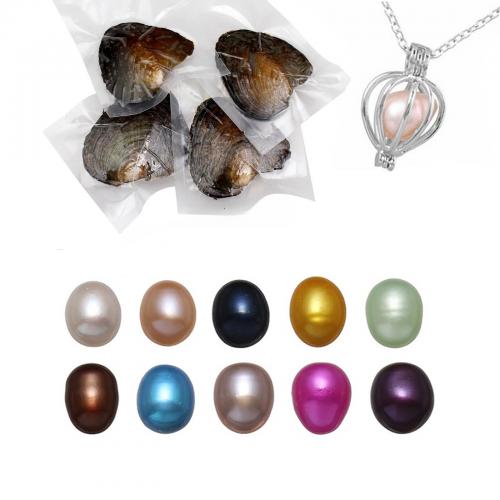 Oyster & Wish Pearl Kit, perla d'acquadolce coltivata naturalmente, Collana, stili diversi per la scelta, colori misti, 170x120x30mm, Appross. 10PC/borsa, Venduto da borsa