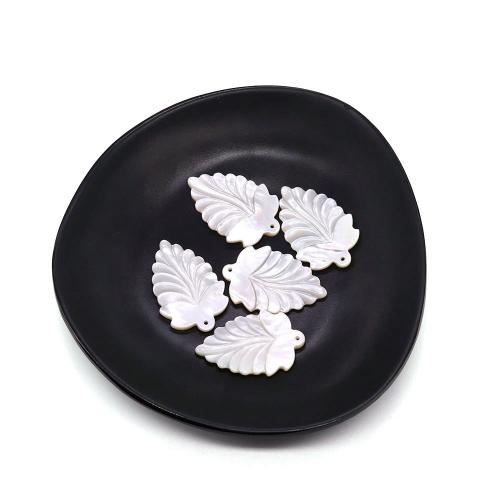 Shell Pendants Freshwater Shell Leaf Carved DIY white Sold By PC