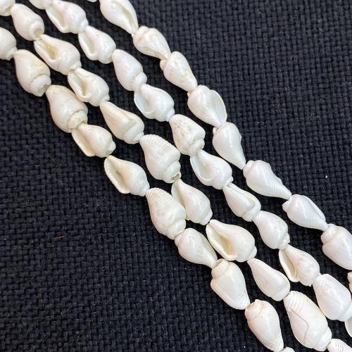 Natural Freshwater Shell Beads Conch DIY 7-12mm Sold Per Approx 38 cm Strand