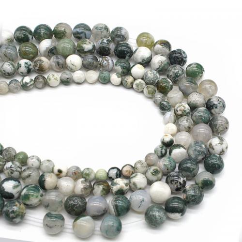 Přírodní Moss Achát Korálky, Moss Agate, Krug, uglađen, možete DIY & različite veličine za izbor, Prodano Per Približno 38 cm Strand