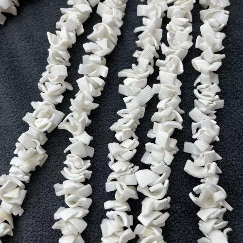 Natural Freshwater Shell Beads DIY white mm Approx Sold By Strand