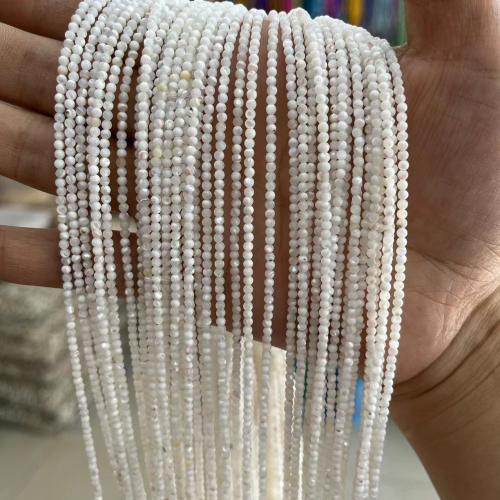 Perles naturelles de coquillage d'eau douce , coquille d'eau douce, Rond, bijoux de mode & DIY & normes différentes pour le choix, blanc, Vendu par brin