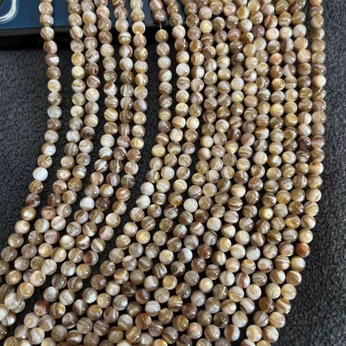 Natural Sea Shell Beads, conchiglia marina, Cerchio, gioielli di moda & DIY, colori misti, 5mm, Appross. 81PC/filo, Venduto da filo