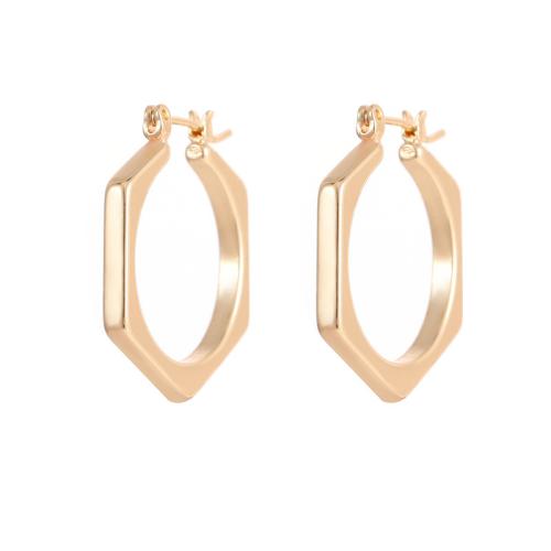 Brass Leverback Earring fashion jewelry & for woman Sold By Pair