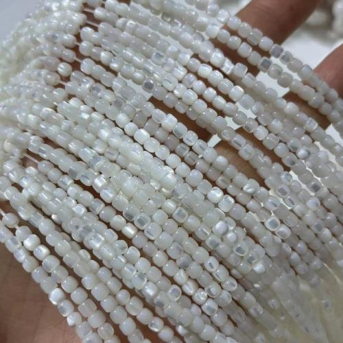 Naturlig Freshwater Shell Perler, Pearl Shell, poleret, du kan DIY, hvid, 3.50x3.50mm, Solgt Per Ca. 38-40 cm Strand