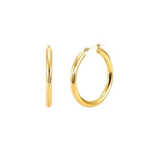 Stainless Steel Lever Terug Earring, 304 roestvrij staal, plated, verschillende grootte voor keus & voor vrouw, meer kleuren voor de keuze, Verkocht door pair