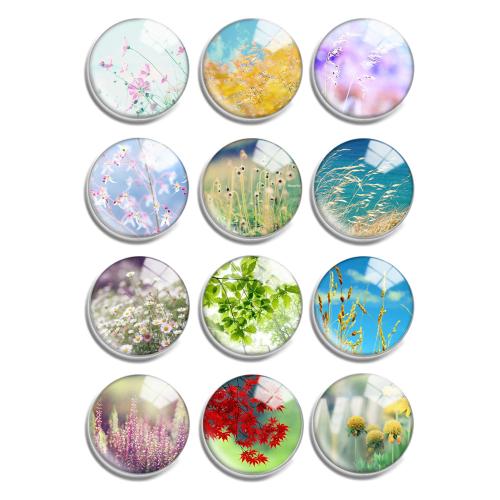 Cabochons en verre, avec résine, Plat rond, DIY & normes différentes pour le choix, 12PC/lot, Vendu par lot