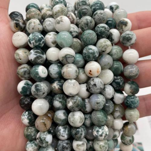 Tree Agate Χάντρες, Γύρος, DIY & διαφορετικό μέγεθος για την επιλογή, μικτά χρώματα, Sold Per Περίπου 38 cm Strand