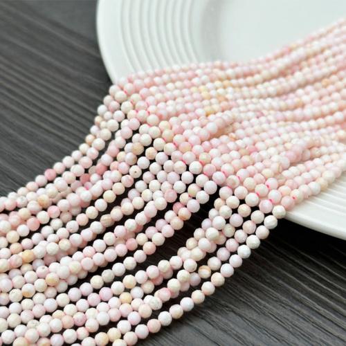 Queen Conch Shell Beads polished DIY & faceted Sold Per Approx 39 cm Strand