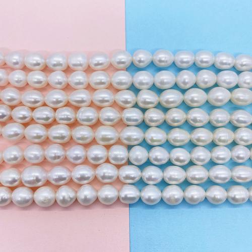 Cultured Rice Freshwater Pearl Beads DIY white Sold Per Approx 38 cm Strand