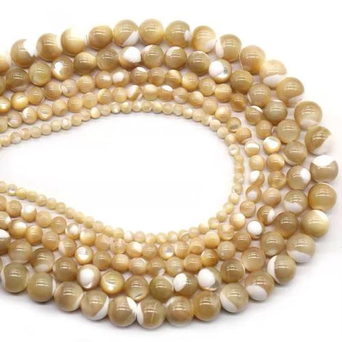 Trochus Beads Round DIY Sold By Strand