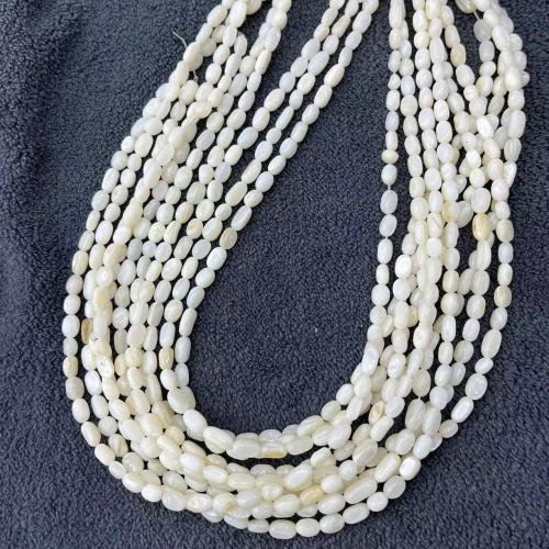 Grânulos do escudo de água doce natural, concha, DIY, branco, 5mm, 56PCs/Strand, vendido por Strand