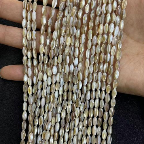 Natural Freshwater Shell Beads DIY Sold By Strand