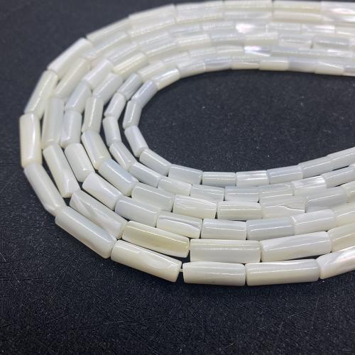 Natural Freshwater Shell Beads Column DIY Sold By Strand