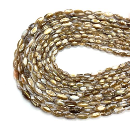 Natural Freshwater Shell Beads Oval DIY Sold Per Approx 38 cm Strand