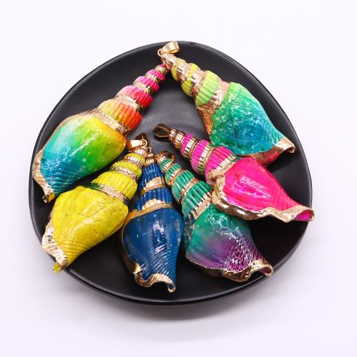 Natural Trumpet Shell Pendants with Brass Conch gold color plated dyed & DIY x55- Sold By PC