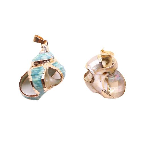 Natural Trumpet Shell Pendants, with Brass, Conch, gold color plated, dyed & DIY & hollow, more colors for choice, about:23x26-33x38mm, Sold By PC