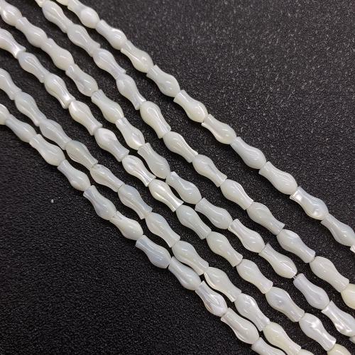 Prirodni Sea Shell perle, Vaza, možete DIY, bijel, 4x8mm, Prodano Per Približno 38 cm Strand