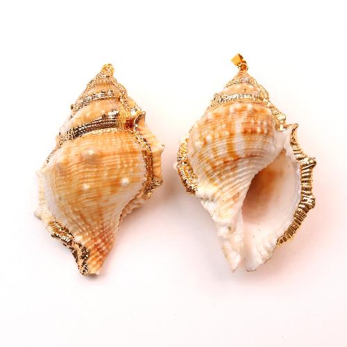 Tromba naturale Shell pendenti, conchiglia, with ottone, Lumaca di mare, placcato color oro, DIY, 50x74mm, Venduto da PC