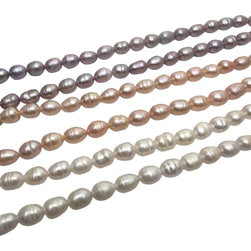 Ris odlad sötvattenspärla pärlor, Freshwater Pearl, DIY, fler färger för val, 7-8mm, Såld Per Ca 36 cm Strand