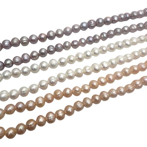 Krumpir Kulturan Slatkovodni Pearl perle, možete DIY, više boja za izbor, 8-9mm, Prodano Per Približno 36 cm Strand