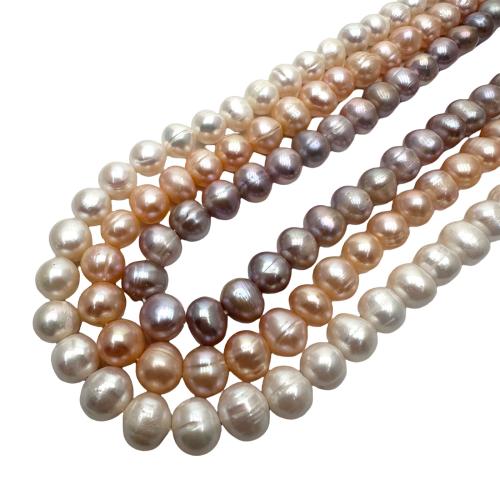 Krumpir Kulturan Slatkovodni Pearl perle, možete DIY, više boja za izbor, 8-9mm, Prodano Per Približno 36 cm Strand