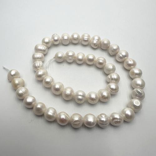 Krumpir Kulturan Slatkovodni Pearl perle, možete DIY, više boja za izbor, 8-9mm, Prodano Per Približno 37 cm Strand