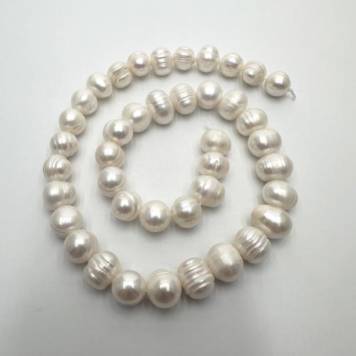 Brambor pěstované sladkovodní perle, Sladkovodní Pearl, DIY, bílý, 9-10mm, Prodáno za Cca 37 cm Strand