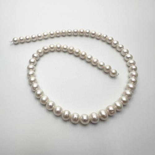 Přírodní sladkovodní perly perlí, Sladkovodní Pearl, Mírně kulaté, DIY, bílý, 7-8mm, Prodáno za Cca 37 cm Strand