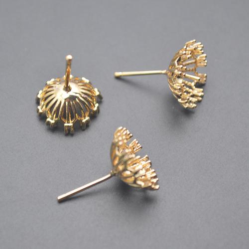 Messing Earring Bericht, plated, DIY & micro pave zirconia, goud, 10x20mm, Verkocht door PC