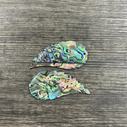 Natuurlijke Abalone Shell Hangers, Abalone Schelp, Vleugelvorm, DIY, 25x52mm, Verkocht door pair