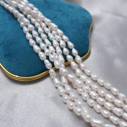 Rice Kulturan Slatkovodni Pearl perle, Riža, možete DIY, bijel, 7-8mm, Prodano Per Približno 37 cm Strand